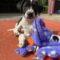 Arlo