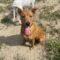 Gretta