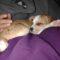 Charlie