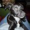 Cooper