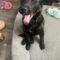 Trudy