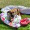 Cheryl