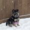 Lucy