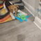Ludo