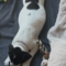 Myla