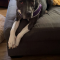 Izzy