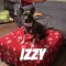 Izzy