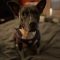 Izzy