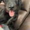 Winnie