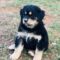 Sadie