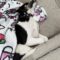 Tippy