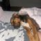Renea