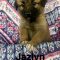 Jazlyn